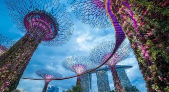Gambling in Singapore: All you need to know
