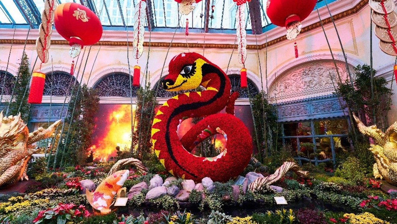赌城 | 百乐宫温室花园推出农历新年展览 庆祝蛇年